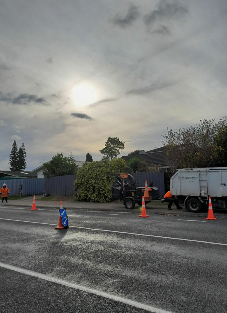all things tree waikato tree removal services in hamilton and waikato Why choose All Things tree services 2