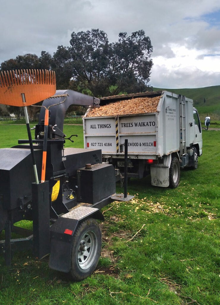 all things tree waikato tree removal services in hamilton and waikato Why choose All Things tree services 6