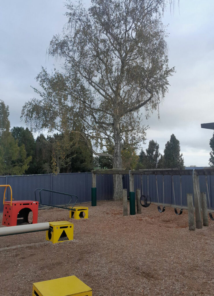 all things tree waikato tree removal services in hamilton and waikato wide buy arborist mulch cambridge and nearby areas 1
