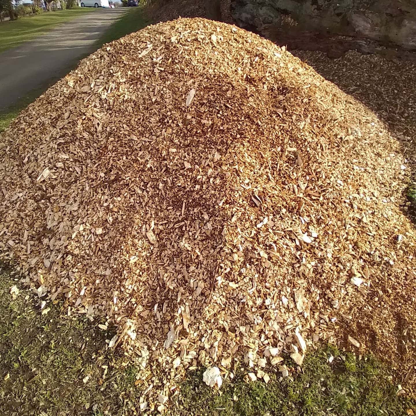 Arborist Mulch For Sale Buy Mulch In Bulk Garden Mulch
