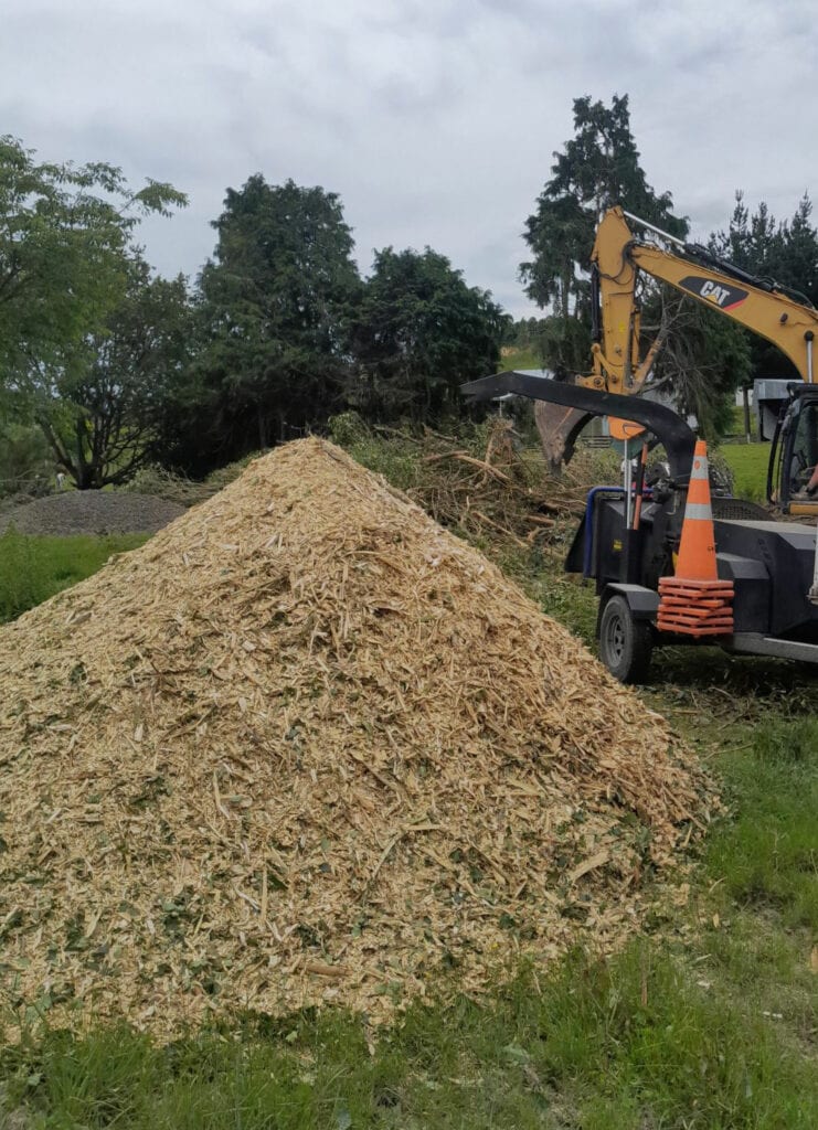 all things tree waikato tree removal services in hamilton and waikato wide buy arborist mulch cambridge and nearby areas 6