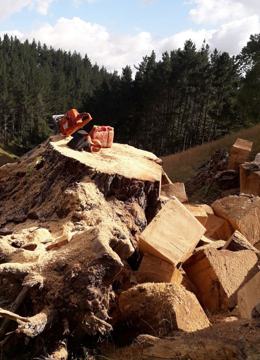 Firewood For Sale > Firewood Te Awamutu, Cambridge FREE Delivery